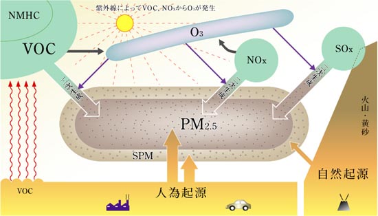 PM2.5の発生イメージ画像。VOCが自動車や工場からの排気ガスに含まれる窒素酸化物（NOx）と、太陽からの強い紫外線を受けて化学反応を起こし、光化学オキシダントが生成されます。
							光化学オキシダントの濃度が高くなると、白いモヤのような光化学スモッグが発生します。
