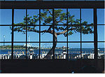 横浜市金沢区野島・旧伊藤博文金沢別邸 （金沢八景・野島・八景島）の作品紹介はこちら
