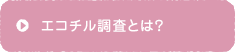 エコチル調査とは？