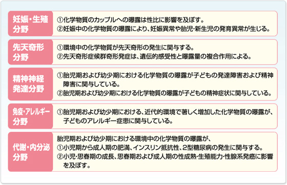 エコチル調査の分野別仮説