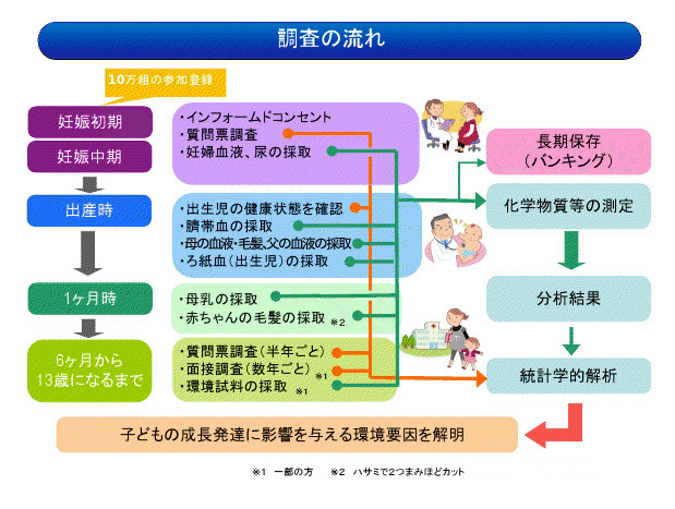 10万組の参加登録を調査開始時に行い、それらの妊婦とその配偶者、その子どもに対して子どもが13歳になるまで、段階毎に追跡して調査します。具体的には、次の通りです。妊娠初期・中期段階は、インフォームドコンセント、質問票調査、妊婦血液、尿の採取、出産時段階は、出生児の健康状態の確認、臍帯血の採取、母の血液・毛髪、父の血液の採取、ろ紙血（出生児）の採取、生後1ヶ月時段階は、母乳の採取、赤ちゃんの毛髪の採取、子どもが6ヶ月から13歳になるまでの段階は質問票調査（半年ごと）、面接調査（数年ごと）、環境試料の採取採取した血液・尿・毛髪などの試料については、化学物質等の測定を行いその分析結果を質問票調査結果等と共に統計学的解析を行い、子どもの成長発達に影響を与える環境要因を解明します。また、採取した血液・尿・毛髪などの試料については、長期保存を行うこととしています。