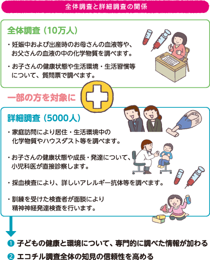 全体調査は、10万人の調査の全参加者を対象とし、妊娠中および出産時のお母さんの血液等や、お父さんの血液の中の化学物質を調べます。お子さんについては、お子さんの健康状態や生活環境・生活習慣等について、質問票で調べます。詳細調査は、全体調査の一部である5,000人の参加者を対象としています。方法と内容は家庭訪問により居住・生活環境中の化学物質やハウスダスト等を調べます。お子さんの健康状態や成長・発達について、小児科医が直接診察します。採血検査により、詳しいアレルギー抗体等を調べます。訓練を受けた検査者が面談により、精神発達検査を行います。詳細調査を行うことで、①子どもの健康と環境について専門的に調べた情報が加わり、②エコチル調査全体の知見の信頼性を高めます。