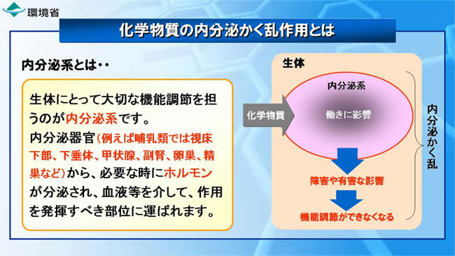 化学物質の内分泌かく乱作用とは