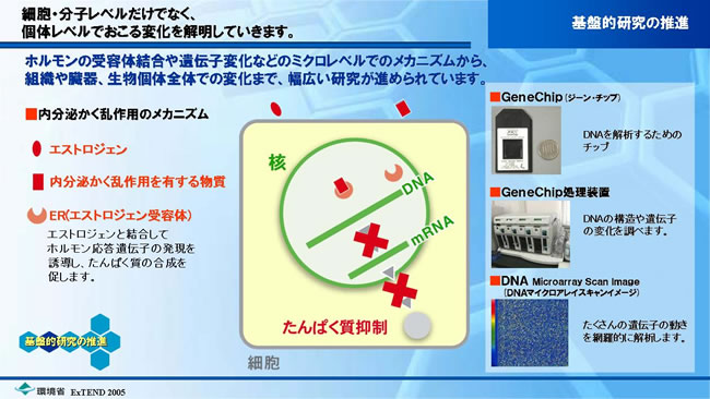 基盤的研究の推進