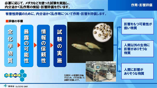 作用・影響評価