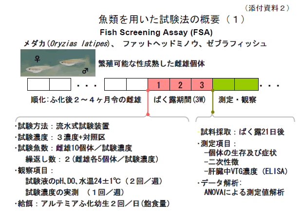 魚類を用いた試験法の概要（１）