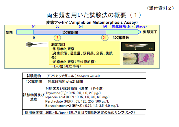 両生類を用いた試験法の概要（１）