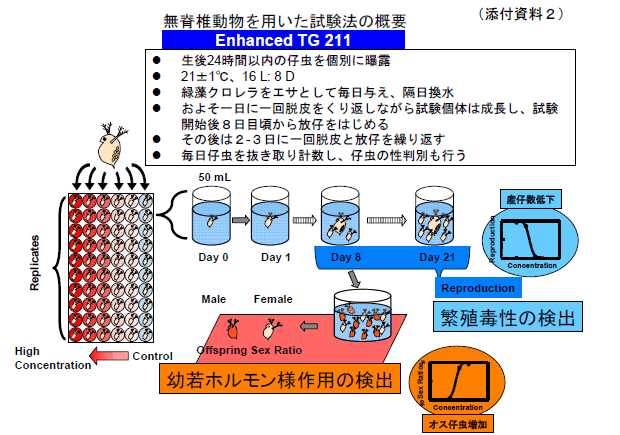 無脊椎動物を用いた試験法の概要