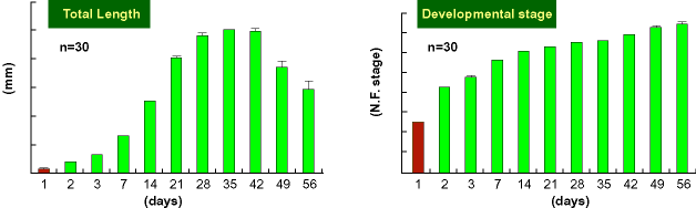 Total Length & Developmental stage