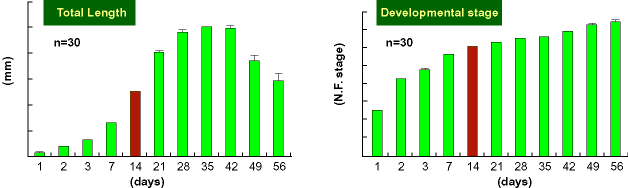 Total Length & Developmental stage