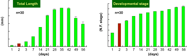 Total Length & Developmental stage