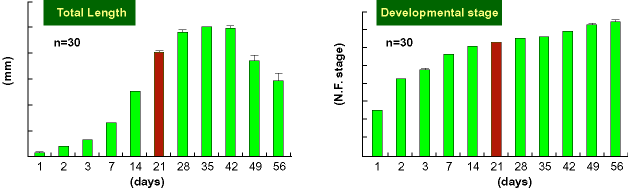 Total Length & Developmental stage