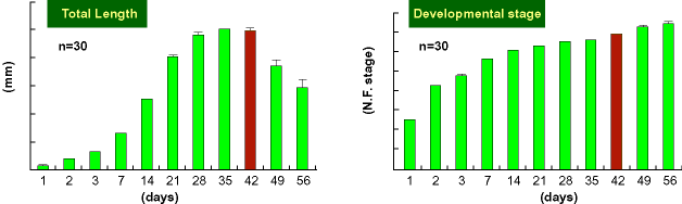 Total Length & Developmental stage