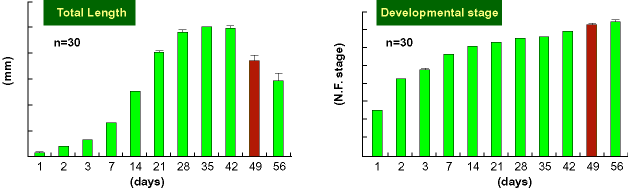 Total Length & Developmental stage