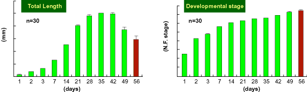 Total Length & Developmental stage