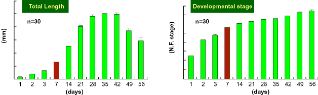 Total Length & Developmental stage