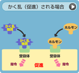 かく乱（促進）される場合