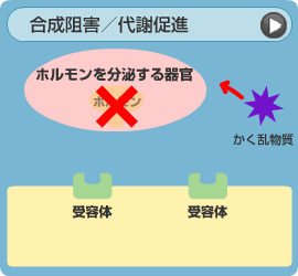 合成阻害／代謝促進