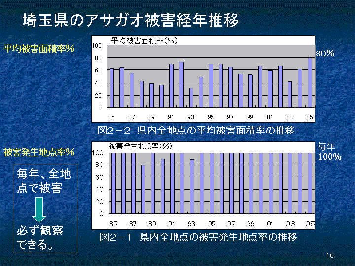 スライド16