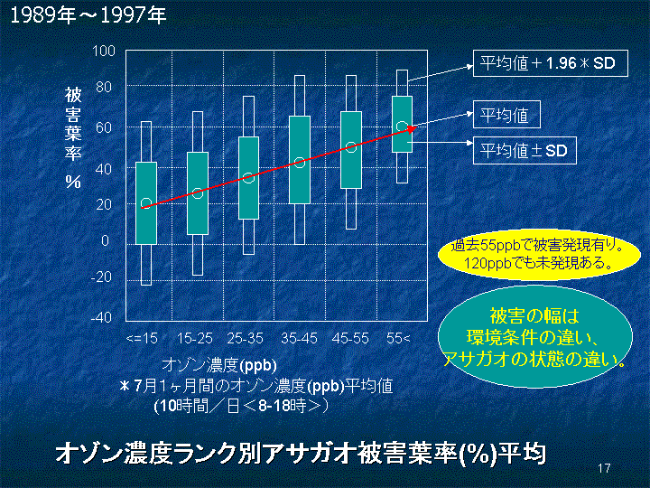 スライド17