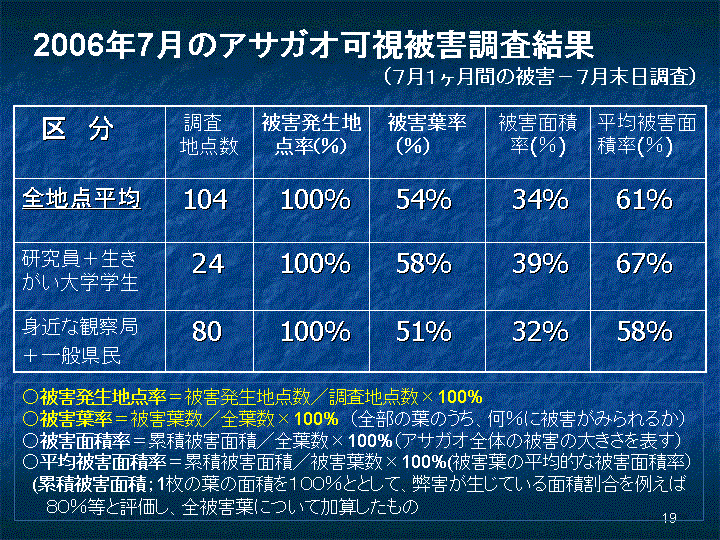 スライド19