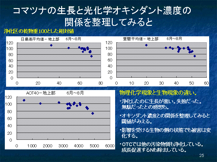 スライド25