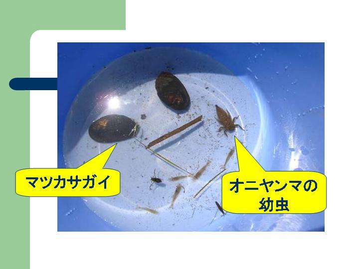 スライド12