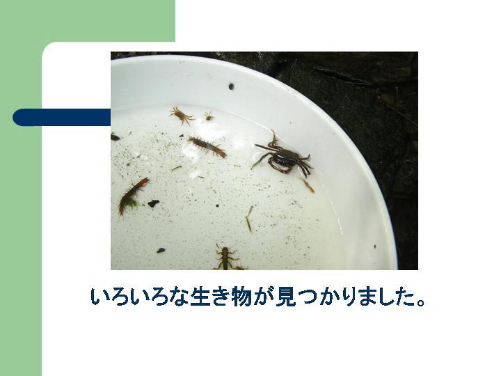 スライド14