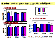 スライド15