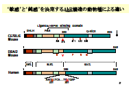 スライド22