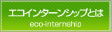 エコインターンシップとは