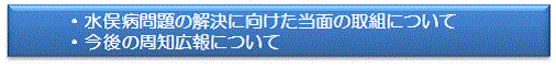 水俣病問題の解決に向けた当面の取組について・今後の周知広報について