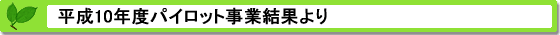 平成10年度パイロット事業結果