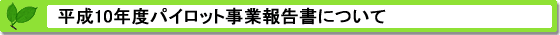 平成10年度PRTRパイロット事業報告書