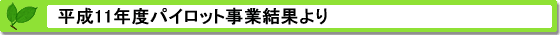 平成11年度パイロット事業結果