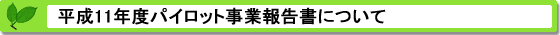 平成11年度PRTRパイロット事業報告書