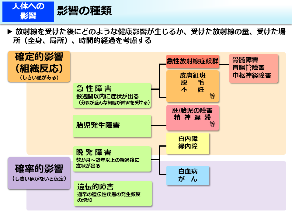 影響の種類