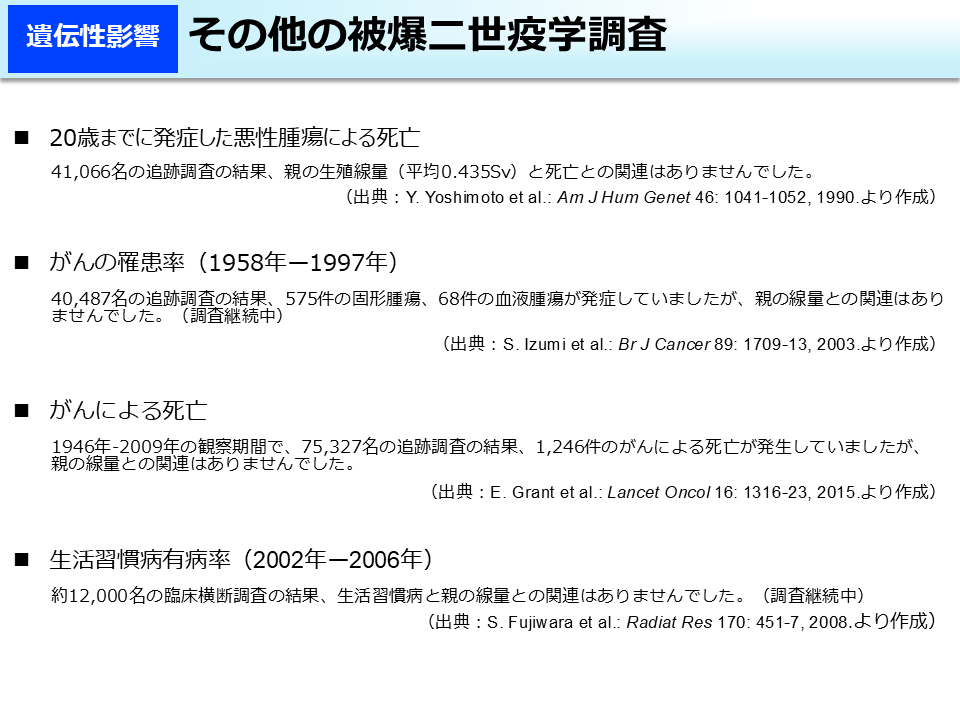 その他の被爆二世疫学調査