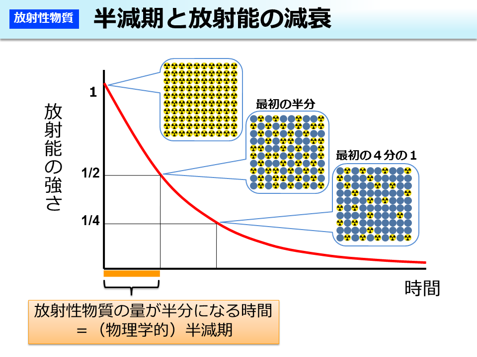 半減期と放射能の減衰