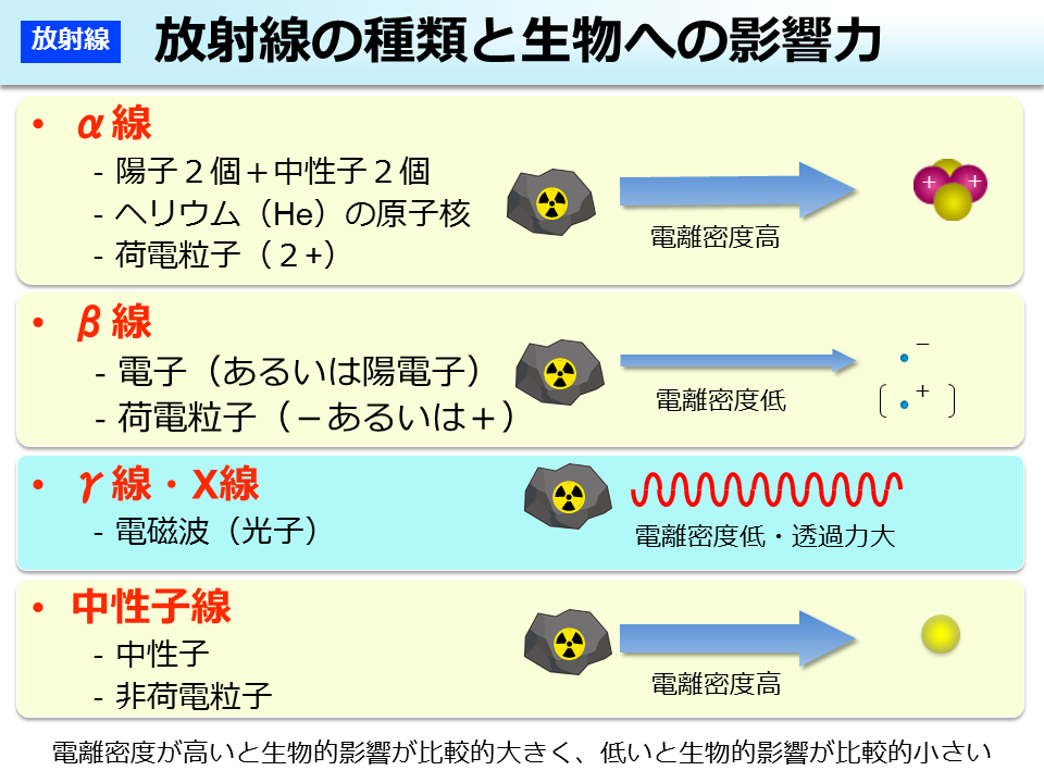 放射線の種類と生物への影響力