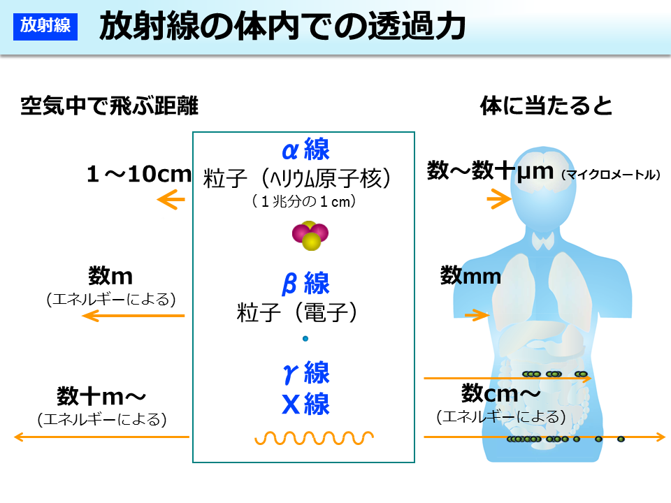 放射線の体内での透過力