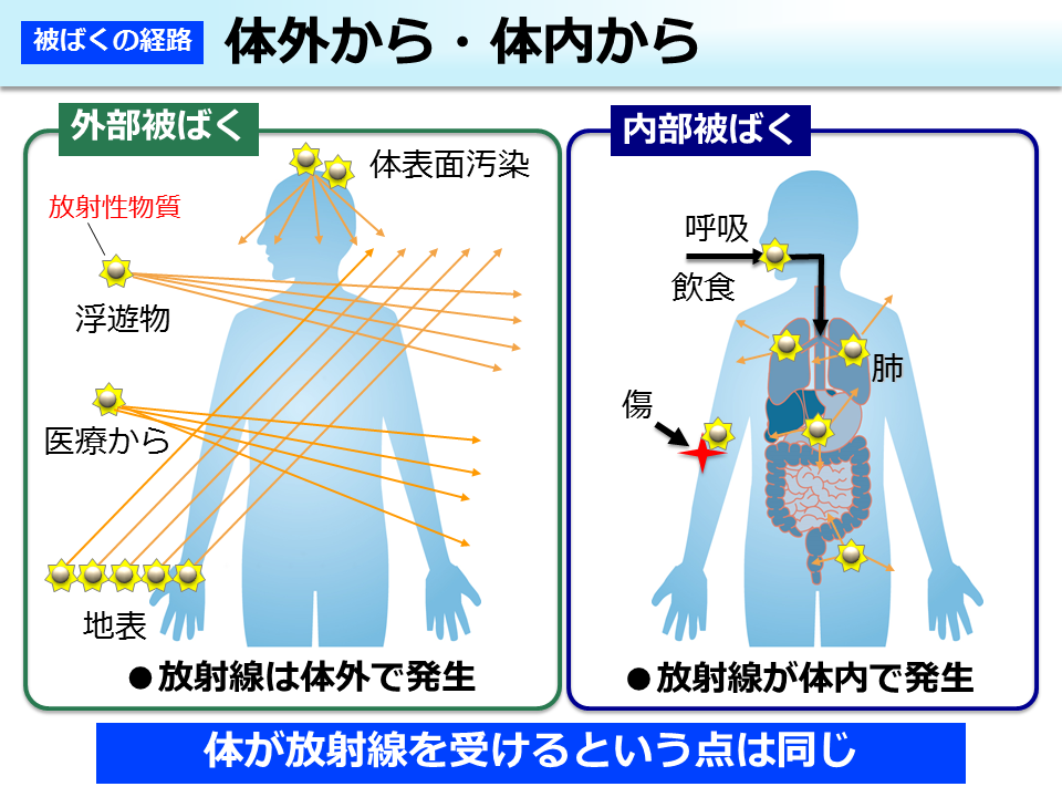 体外から・体内から