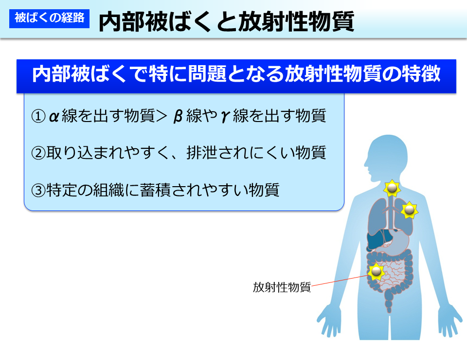 内部被ばくと放射性物質