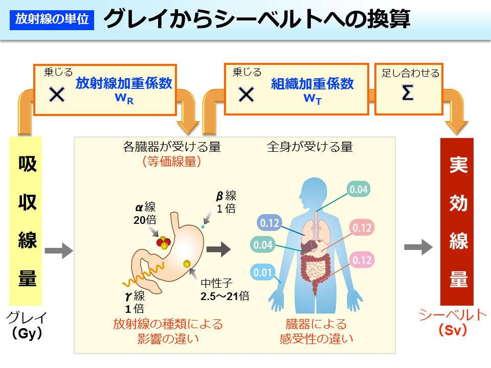 グレイからシーベルトへの換算