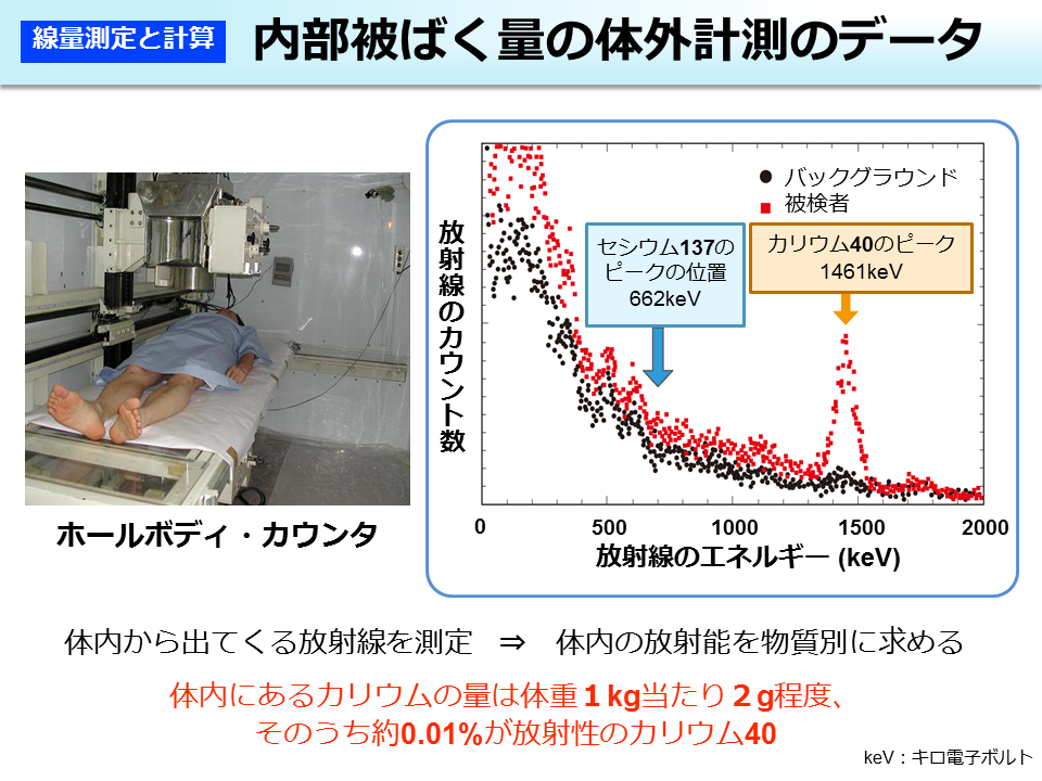 内部被ばく量の体外計測のデータ