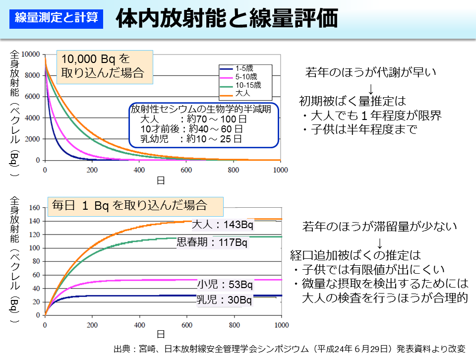 体内放射能と線量評価