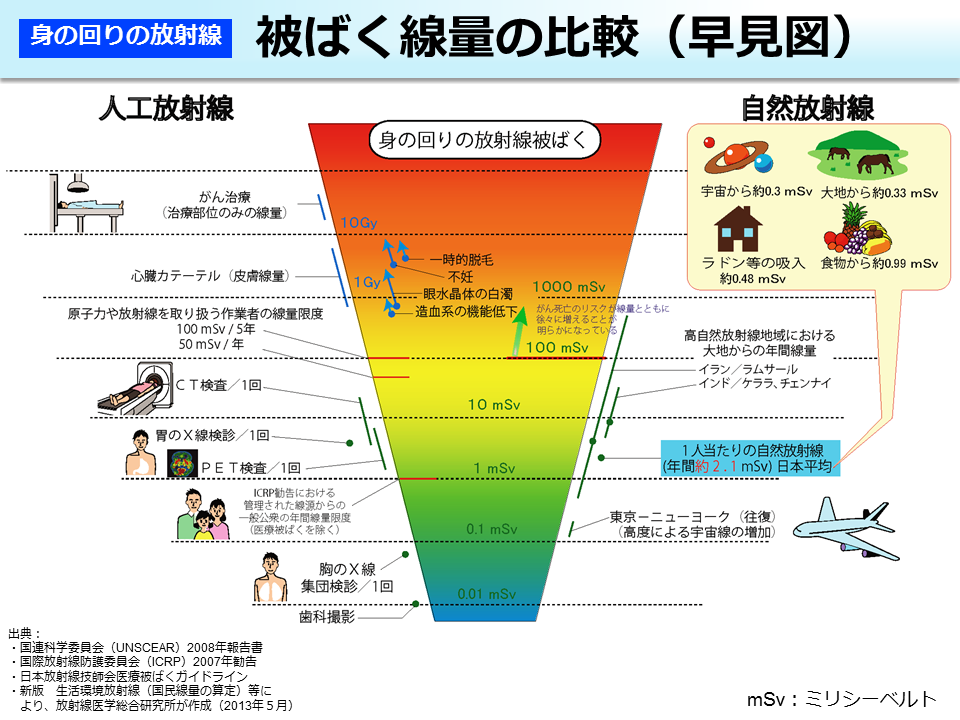 被ばく線量の比較（早見図）