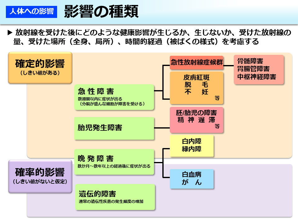 影響の種類