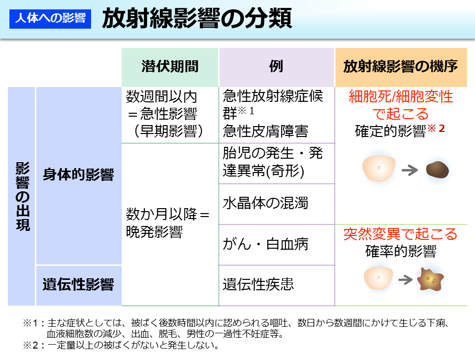 放射線影響の分類