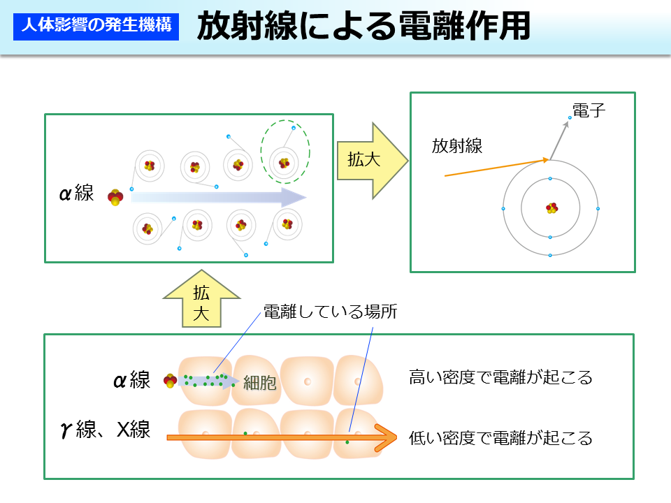 放射線による電離作用